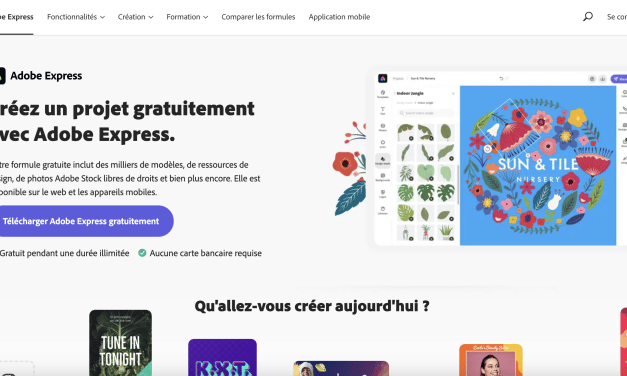 La création d’identité visuelle pour entreprise avec Adobe Express