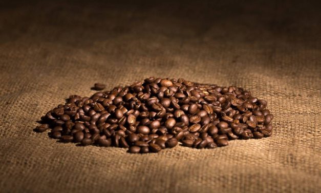 Les meilleures marques de café en grains