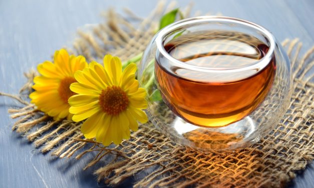 Tisane de Maylis : drainez et détoxifiez votre corps naturellement !
